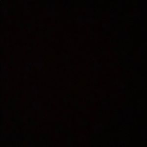 Meet your Posher, Maddie